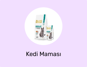 Kedi Maması