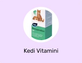 Kedi Vitamini
