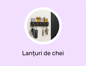 Lanțuri de chei