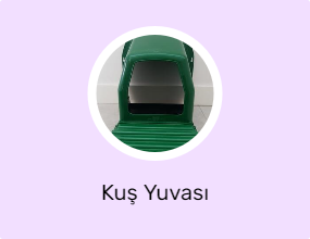 Kuş Yuvası