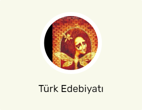Türk Edebiyatı
