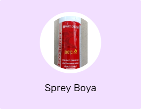 Sprey Boya