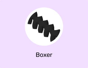 Boxer