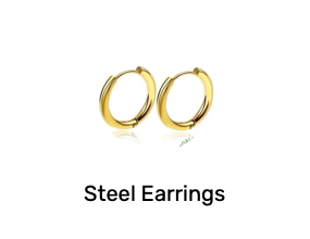Steel Earrings