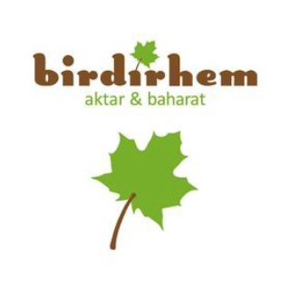 Birdirhem Aktar logo