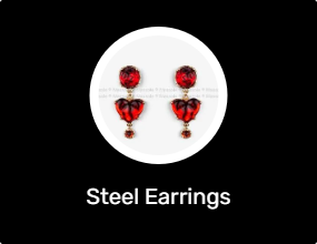 Steel Earrings