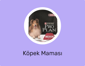 Köpek Maması