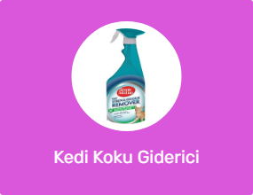 Kedi Koku Giderici