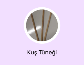 Kuş Tüneği