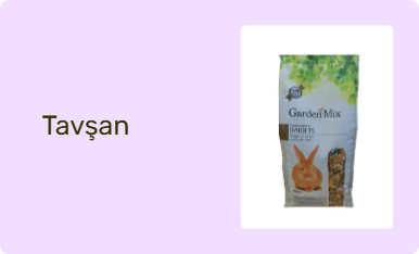 Tavşan