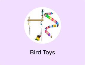 Bird Toys