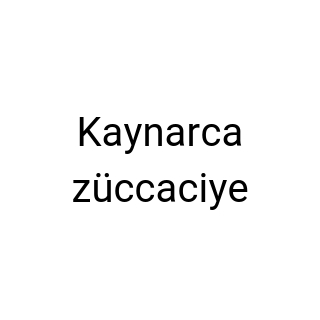 Kaynarca züccaciye