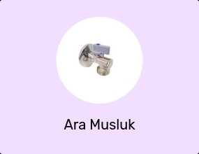 Ara Musluk