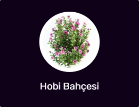 Hobi Bahçesi