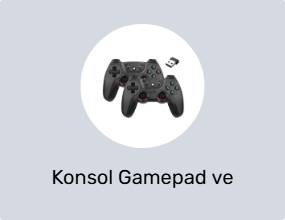 Konsol Gamepad ve Joystick