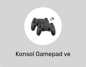 Konsol Gamepad ve Joystick