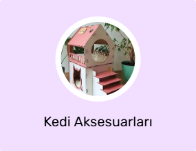 Kedi Aksesuarları