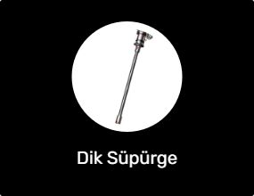 Dik Süpürge
