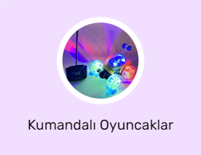Kumandalı Oyuncaklar