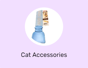 Cat Accessories