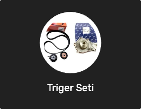 Triger Seti