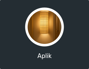 Aplik