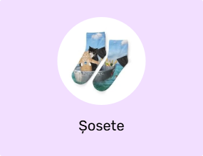 Șosete