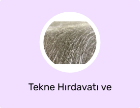 Tekne Hırdavatı ve Tesisatı