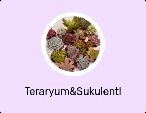 Teraryum&Sukulentler