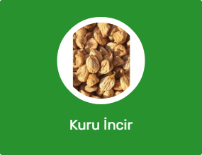Kuru İncir