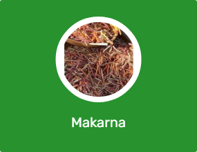 Makarna