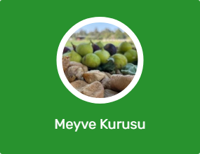 Meyve Kurusu