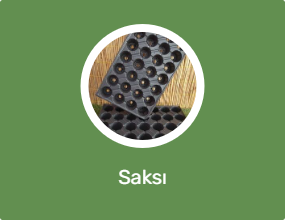 Saksı