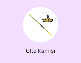 Olta Kamışı