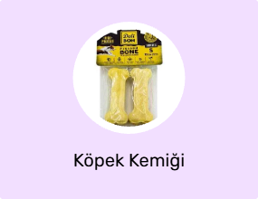 Köpek Kemiği