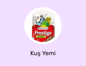Kuş Yemi