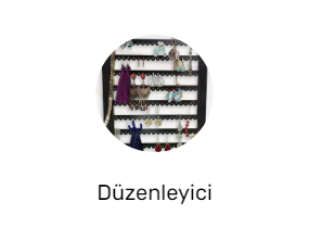 Düzenleyici
