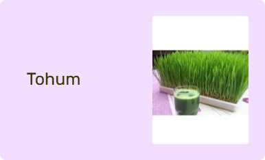 Tohum