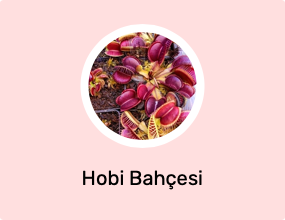 Hobi Bahçesi