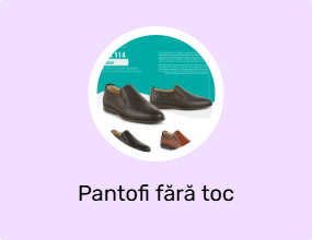Pantofi fără toc