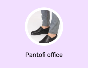 Pantofi office