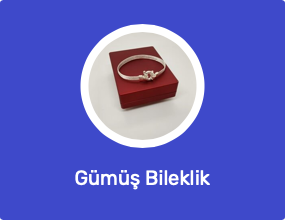 Gümüş Bileklik