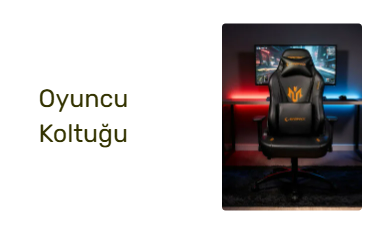 Oyuncu Koltuğu