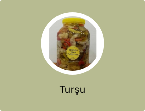 Turşu