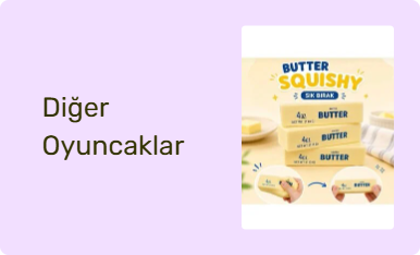 Diğer Oyuncaklar