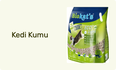 Kedi Kumu