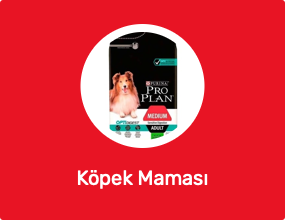 Köpek Maması
