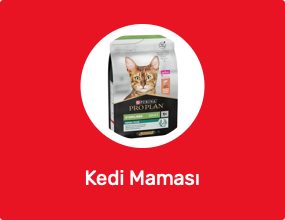 Kedi Maması
