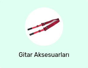 Gitar Aksesuarları