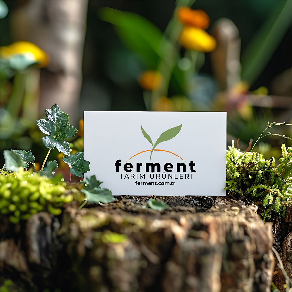 fermenttarim
